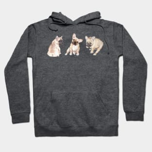 Frenchie Pups Hoodie